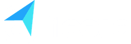 Fleetle Logo